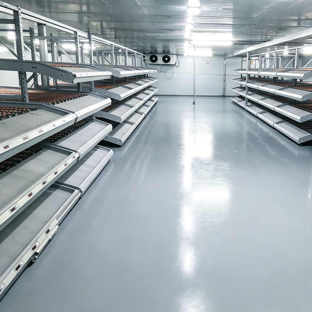 multi-tier carton flow shelving system